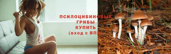 2c-b Абаза