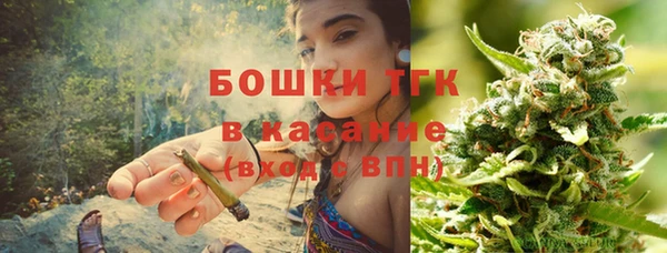 гашик Алзамай