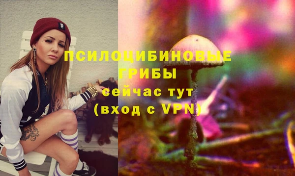 Альфа ПВП Алексеевка
